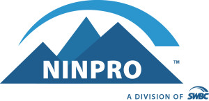 Ninpro Logo Color